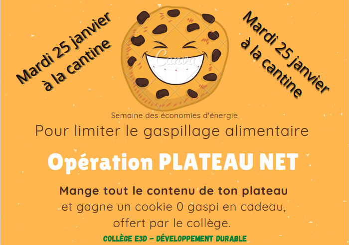 Plateau net